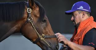 Image result for hats kentucky derby images 2016 ago