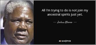 QUOTES BY JOSHUA NKOMO | A-Z Quotes via Relatably.com