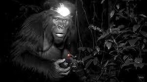 Parodija Majmun | TikTok