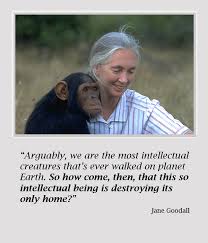 Inspirational Quotes By Jane Goodall. QuotesGram via Relatably.com