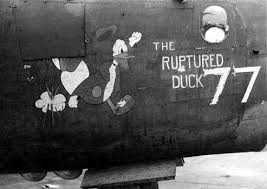 Image result for ruptured duck