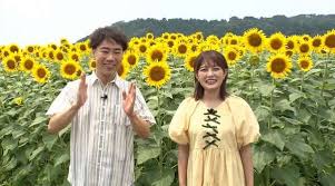 au Webポータル - News update