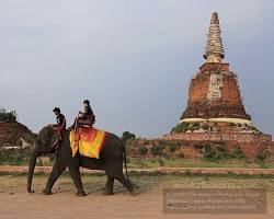 Image of ตลาดน้ำหมู่บ้านช้างอโยธยา