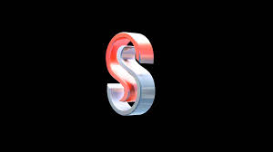 Bildergebnis für ss logo