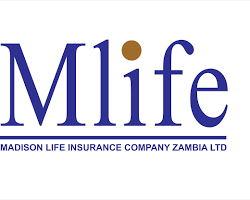Image of MLIFE logo