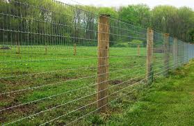 Image result for non climb fence