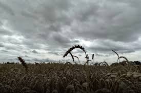 Farmer.pl - News update
