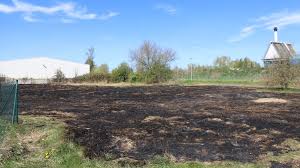 Flä­chen­brand : ce qu'il faut savoir