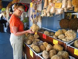 images?q=tbn:ANd9GcSgGV4h1OSzT2t7llabGr0mD17kIWksct_jLkd9ydUVzTGidmha