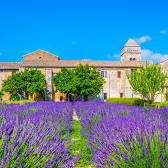 Saint-Rémy-de-Provence