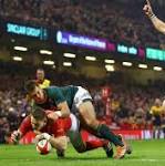 Unbeatable Wales classy Springboks