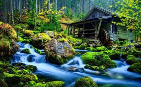 Image result for nature