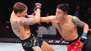 MMA Junkie - News update
