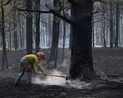 Image of Forest ranger putting out a fire