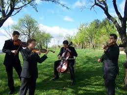 images?q=tbn:ANd9GcSgmQ8Cre1M-c9ygS3IAQL