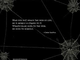 The Spider, Bringer of BALANCE of Physical &amp; Spiritual...and The ... via Relatably.com