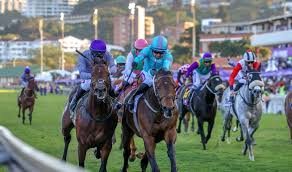Hollywoodbets Sports Blog - News update