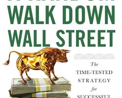 Random Walk Down Wall Street book
