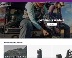 Image of Patagonia website