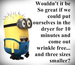 Image result for funny minions pictures