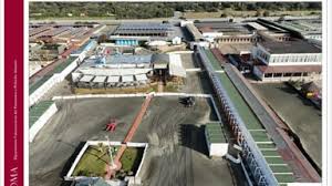 Trend Google: stabilimento balneare