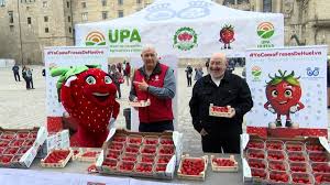 Productores reclaman otro año más la complicidad del consumidor con un reparto de fresas de Huelva en el Obradoiro