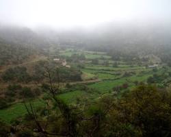 غابة خيرة في السعودية