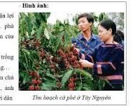 Hình ảnh về Sản phẩm thủ công Tây Nguyên