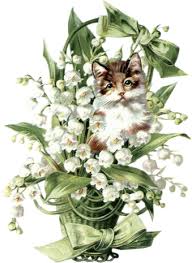 Résultat de recherche d'images pour "image 1er mai"