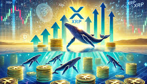 XRP Bullish Signal: Whales Go On $223 Million Buying Spree