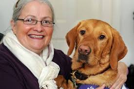 Dawn Collinson meets the woman given a new start – by her dog. Wonder dog Amber with her owner Helen Bree from Wallasey. Amber is Helen&#39;s aid dog and ... - TMCL031213AIDDOG-2-6365950