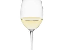 Sauvignon Blanc wine glass