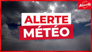 Alouette - News update