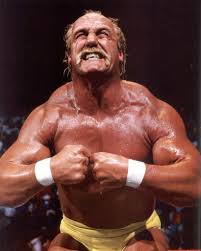 Image result for hulk hogan