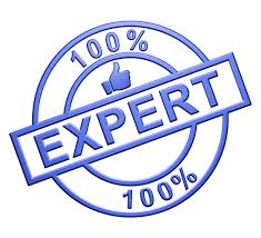 Image result for expert