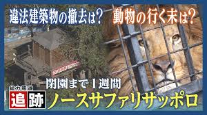 Yahoo!ニュース - News update