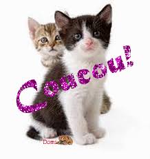 Résultat de recherche d'images pour "image coucou"