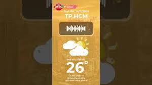 Đài Truyền hình TP.HCM - News update