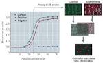 Rt pcr test