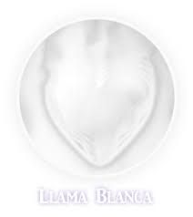 Resultado de imagen de llama blanca