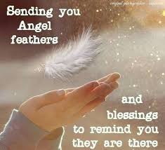 Feathers on Pinterest | Feather Quotes, White Feathers and Angel via Relatably.com