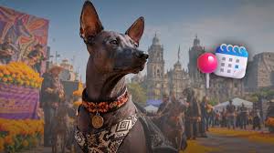 Festival del Xoloitzcuintle en CDMX 2026: fechas, sedes y actividades