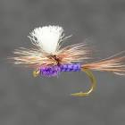 Purple haze fly tying