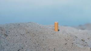 Spiaggia : la sortie qui fait sensation