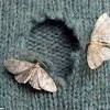 Story image for Best Art Crafting Materials Embellishments Trims Loose Stones For Sale from Daily Mail