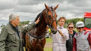Le Trot - News update