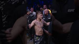 Fightmag - News update