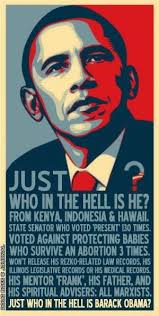 Image result for chandoo obama couch