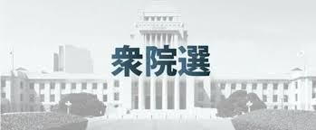 投票先検討にAI利用 誤回答に注意