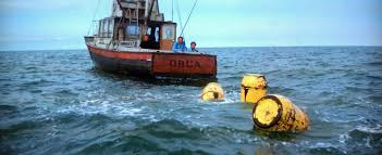 Image result for Jaws barrels